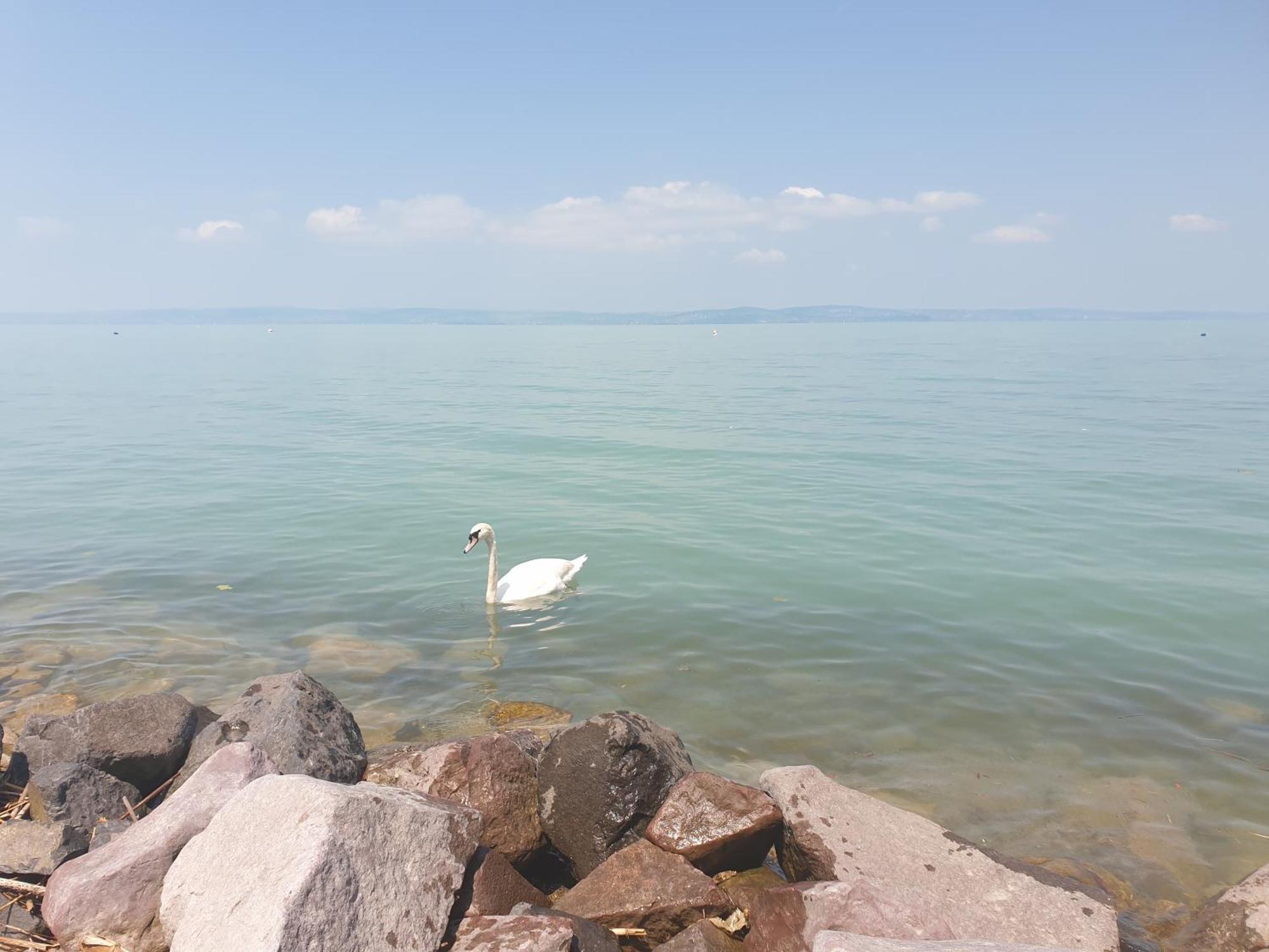 Balaton Lakeside Residence Siófok Eksteriør bilde